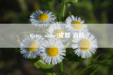 娄底成都 消防