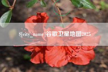 娄底谷歌卫星地图2025