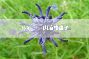 娄底九宫格盘子