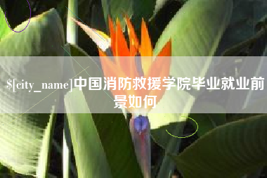 娄底中国消防救援学院毕业就业前景如何