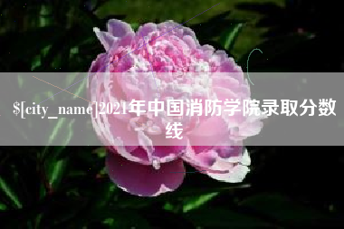 娄底2021年中国消防学院录取分数线