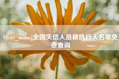 娄底全国失信人员被执行人名单免费查询