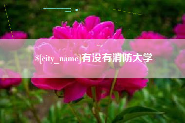 娄底有没有消防大学