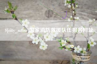 娄底国家消防救援队伍报名网址