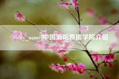 娄底中国消防救援学院介绍