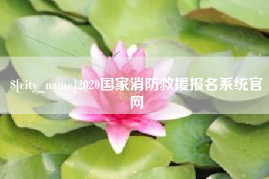 娄底2020国家消防救援报名系统官网