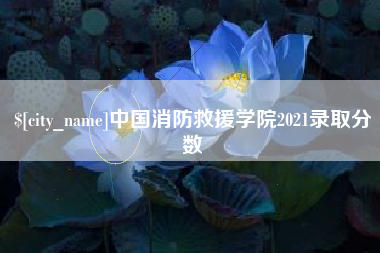 娄底中国消防救援学院2021录取分数