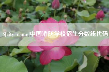 娄底中国消防学校招生分数线代码