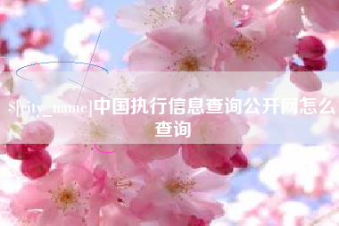 娄底中国执行信息查询公开网怎么查询