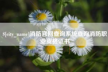 娄底消防官网查询系统查询消防职业资格证书