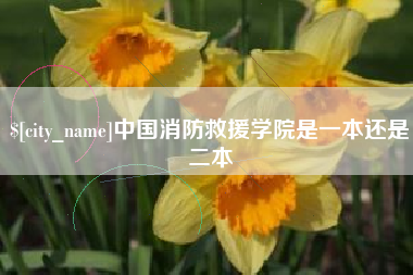 娄底中国消防救援学院是一本还是二本
