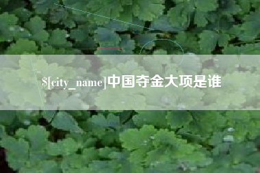 娄底中国夺金大项是谁