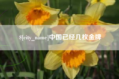 娄底中国已经几枚金牌