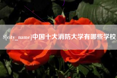 娄底中国十大消防大学有哪些学校