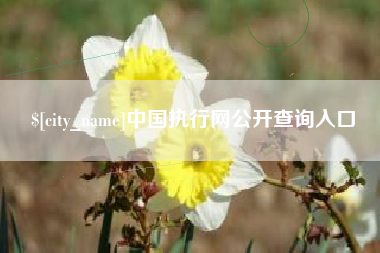 娄底中国执行网公开查询入口