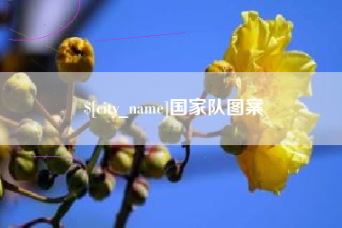 娄底国家队图案