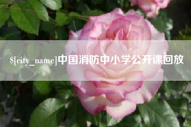 娄底中国消防中小学公开课回放