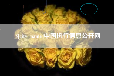娄底中国执行信息公开网