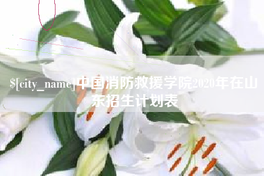 娄底中国消防救援学院2020年在山东招生计划表