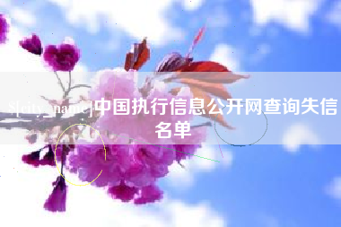 娄底中国执行信息公开网查询失信名单