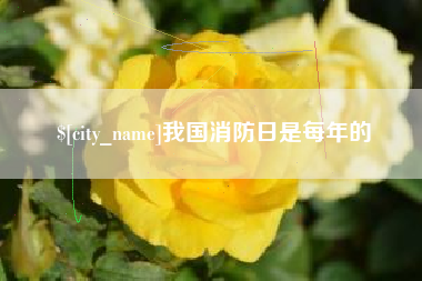 娄底我国消防日是每年的