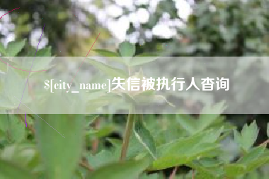 娄底失信被执行人杳询
