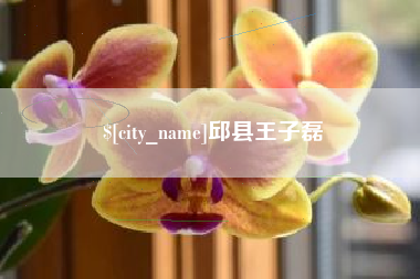 娄底邱县王子磊