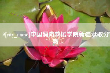 娄底中国消防救援学院新疆录取分数
