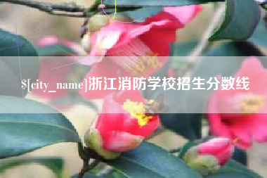 娄底浙江消防学校招生分数线