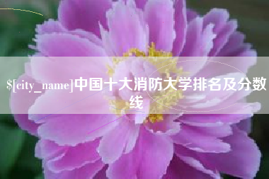 娄底中国十大消防大学排名及分数线