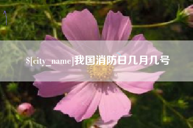 娄底我国消防日几月几号