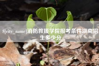 娄底消防救援学院报考条件湖南招生多少分
