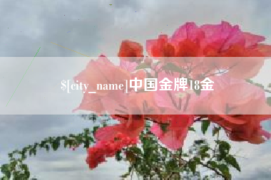 娄底中国金牌18金