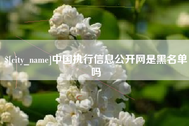 娄底中国执行信息公开网是黑名单吗