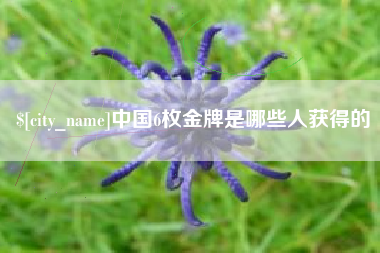 娄底中国6枚金牌是哪些人获得的