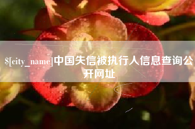娄底中国失信被执行人信息查询公开网址