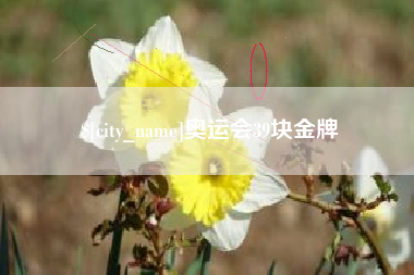 娄底奥运会39块金牌