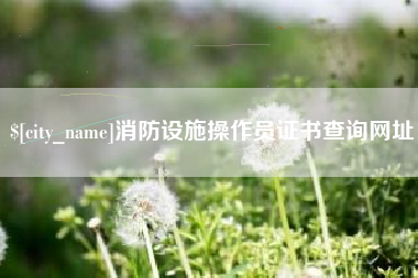 娄底消防设施操作员证书查询网址