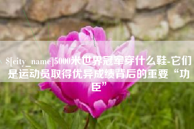 娄底5000米世界冠军穿什么鞋-它们是运动员取得优异成绩背后的重要“功臣”