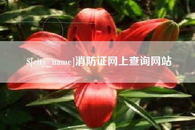 娄底消防证网上查询网站
