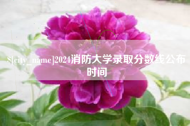 娄底2024消防大学录取分数线公布时间