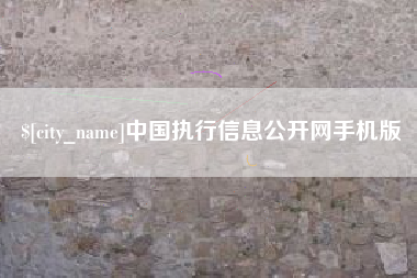 娄底中国执行信息公开网手机版
