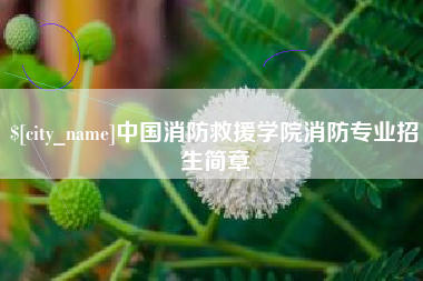 娄底中国消防救援学院消防专业招生简章
