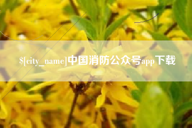 娄底中国消防公众号app下载