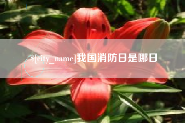 娄底我国消防日是哪日