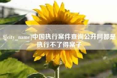 娄底中国执行案件查询公开网都是执行不了得案子