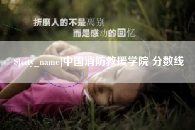 娄底中国消防救援学院 分数线