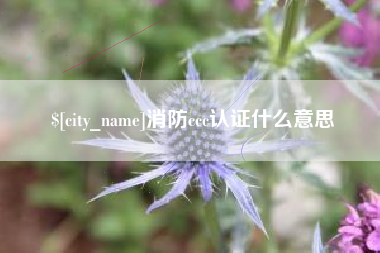娄底消防ccc认证什么意思