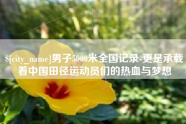 娄底男子5000米全国记录-更是承载着中国田径运动员们的热血与梦想