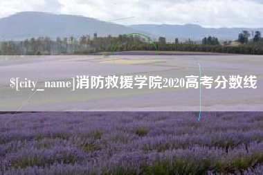 娄底消防救援学院2020高考分数线